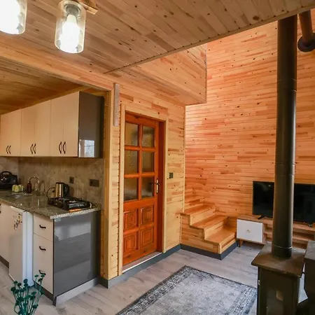 Naila Bungalov/2